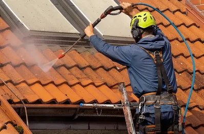 Démoussage et hydrofuge de toiture à Lanquetot